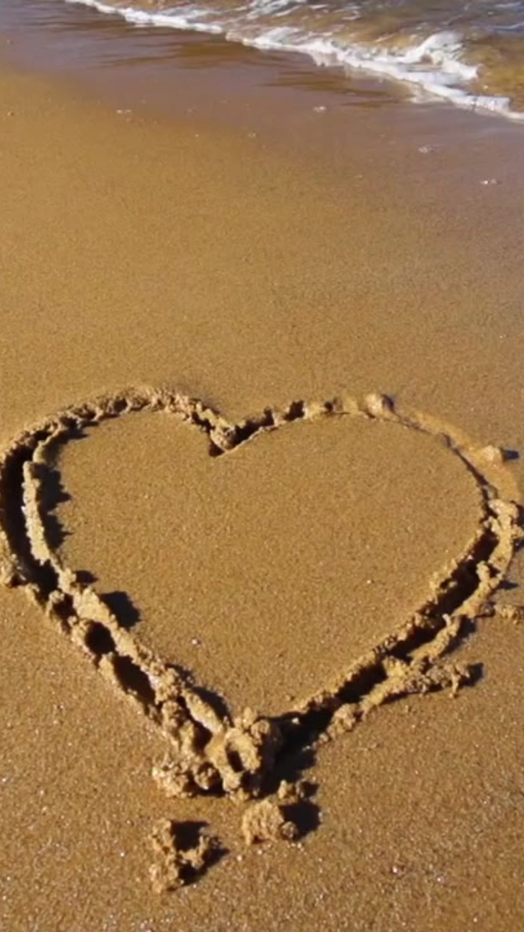 Reason, Season, Lifetime